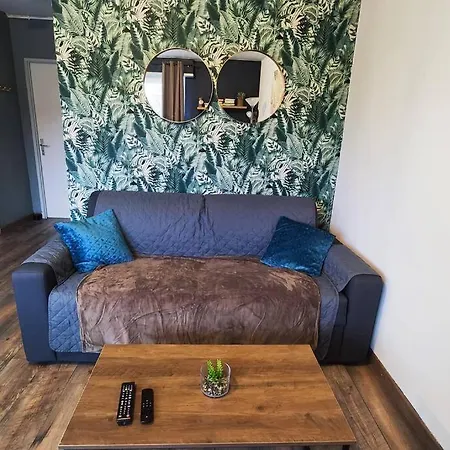 Chaleureux 5 Mn Du Centre T2 Colmar